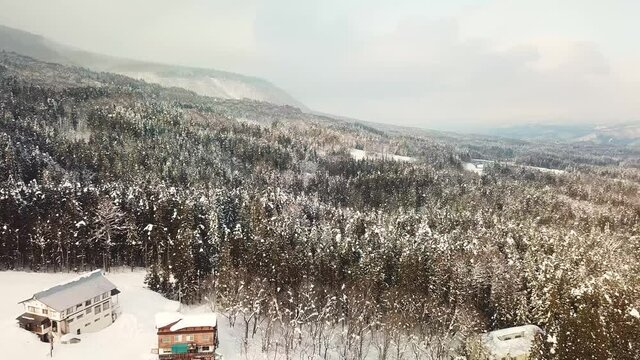 Aerial view of forests with snow in Myoko, Niigata, Japan