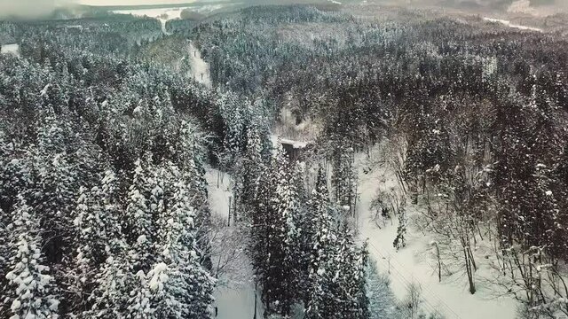 Aerial view of forests with snow in Myoko, Niigata, Japan