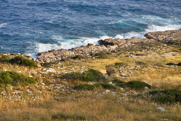 Fototapeta na wymiar Cape Greco National forest park near Ayia Napa. Cyprus