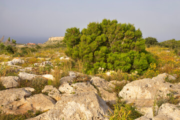 Cape Greco National forest park near Ayia Napa. Cyprus