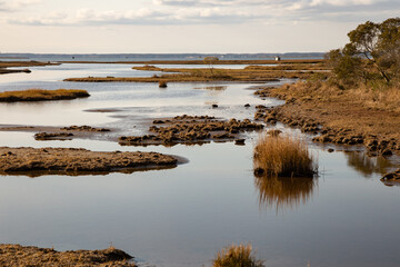 Late autumn swamp at coast line with clouds at far end