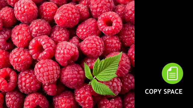 Raspberries. Raspberry background. Copy space. Black background.