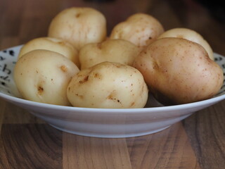 Bowl of raw epicure potatoes