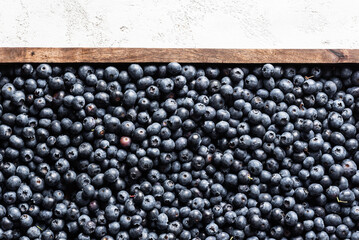 Fresh blueberries in overhead view.