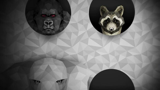 Collection of different animals. Zoo symbol. Low polygon icons. Lion, Gorilla, Zebra, Raccoon, Fox, Elephant, Deer, Owl. Geometric loop animation set.