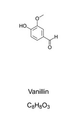 Vanillin, chemical structure and formula. Primary component of vanilla bean extract. Mainly synthetic vanillin is used as flavoring agent in foods, beverages and pharmaceuticals. Illustration. Vector.