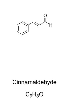 Cinnamaldehyde, chemical structure and formula. Organic compound that gives cinnamon its flavor and odor. The essential oil of cinnamon bark is about 90 percent cinnamaldehyde. Illustration. Vector.