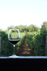 The old wine road, Romania, Prahova county