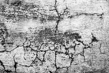 Texture of a concrete wall with cracks and scratches which can be used as a background