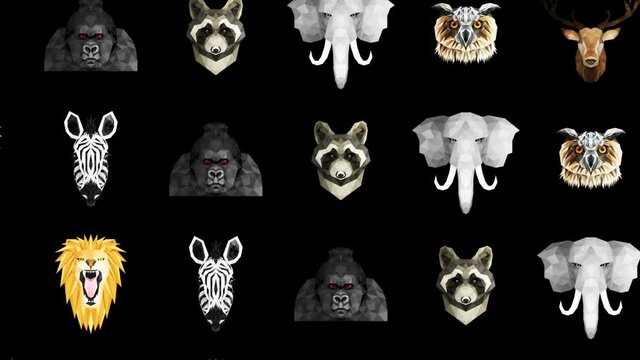 Collection of different animals. Zoo symbol. Low polygon icons. Lion, Gorilla, Zebra, Raccoon, Fox, Elephant, Deer, Owl. Geometric loop animation set.