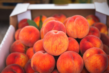 Peaches are sold at the farmers ' market. Ripe juicy peaches close-up. Selective and soft focus. Season of peaches and other fruits.