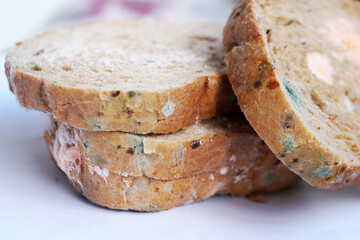 blue and pink mold on bread close up