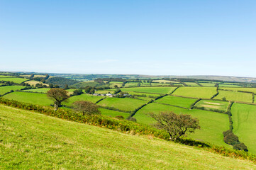 Fototapeta na wymiar Hills, combes and fields near Winsford, Exmoor, Somerset, England