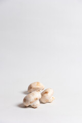 Champiñones en fondo blanco con luz suave para e-commerce