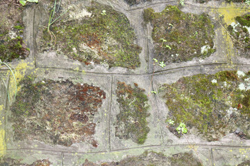 Historic brick wall for posters background. This was in one of the historic building in Bosnia  