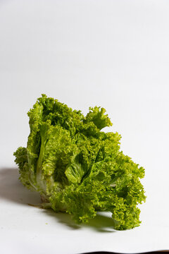 Lechuga verde crespa en fondo blanco para e-commerce