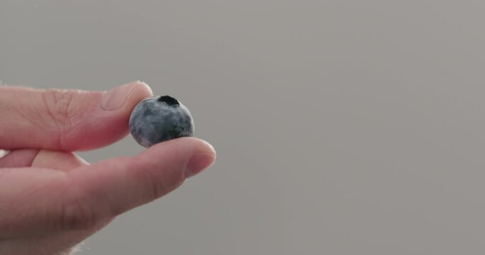 Slow motion man hand show ripe blueberry closeup