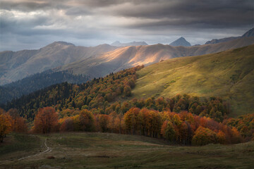 mountain valley with autumn forest bathed in the rays of the evening sun