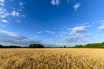 Fototapeta premium Idylle in Mühlheim am Main