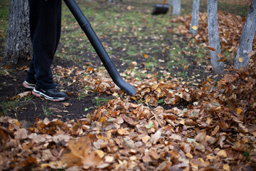 Cleaning dry leaves with a wind turbine.