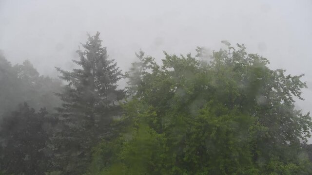 Srakregen im Sommer im Garten gefilm durch eine fensterscheibe, an der die Regentropfen hinablaufen