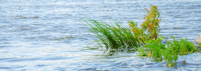 nature protection. River flows. Protect the environment. ecology