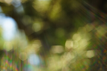 Blurred bokeh background with solar glow spectrum rays of all shades