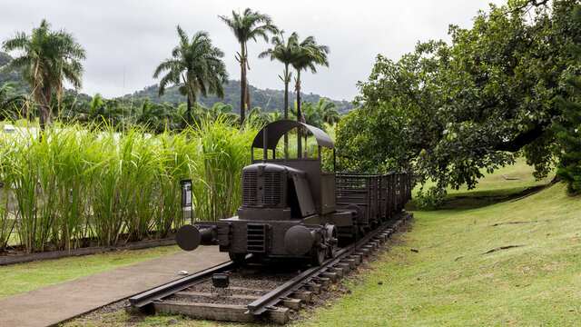 The Caribbean train in Sainte Anne Martinique