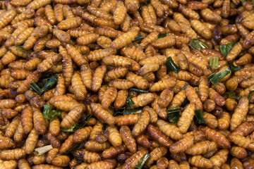 Top view of Spicy lemongrass flavored noodle soup with marinated pork chops and fried wontons (side dish)
