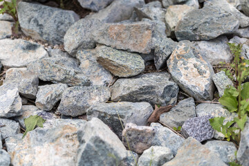 Gratite Stones lying on the ground. Green sprout breaks through stones