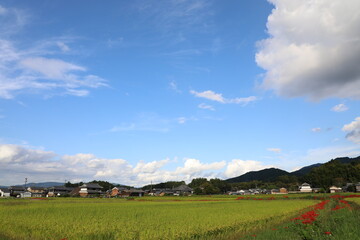 飛鳥 秋の空