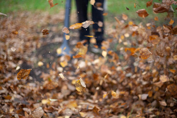 Cleaning dry leaves with a wind turbine.