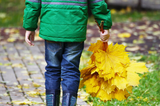 A child walks in the Park in autumn.