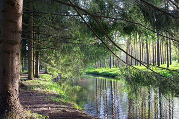 Fish channel in the Catherine Park, on both sides of the trees are planted, which are reflected in...