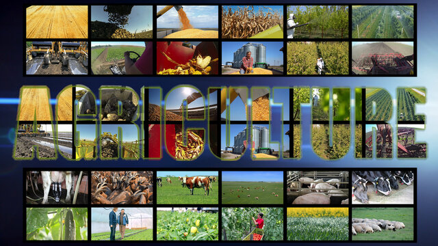 Agriculture - Multimedia Video Wall Photo Collage