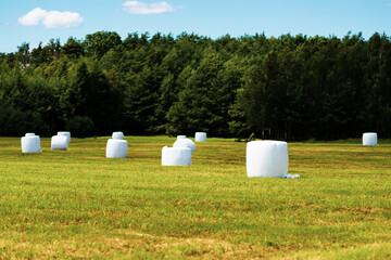 wrapped hay bales