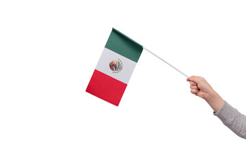Child hand holds flag of Mexico isolated on white background.