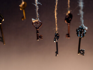 A lot of different old keys from different locks, hanging from the top on strings.