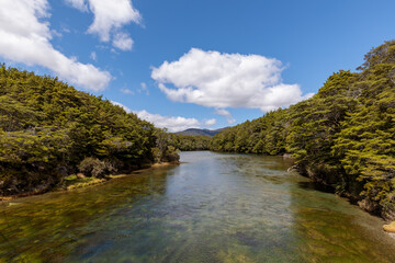 Mavora River at the point it drains out of the South Mavora Lake with forests lining each side.