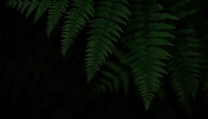Fototapeta na wymiar Desaturated green fern leaves background