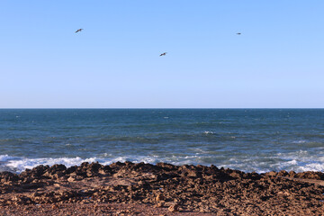 View of the Atlantics ocean coast with rocks and waves. Seagulls flying over the sea.