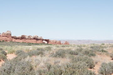 Landscape of Arches National Park