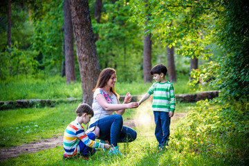 Naklejka na ściany i meble Young woman mother applying insect repellent to her two son before forest hike beautiful summer day or evening. Protecting children from biting insects at summer. Active leisure with kids