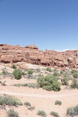 Landscape of Arches National Park