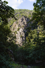 Felswand im Bodetal, Thale, Harz Nationalpark