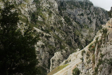 rock in the mountains (The Cares route, Asturias, Spain)