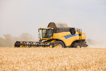 Obraz premium harvesting wheat at an agricultural enterprise