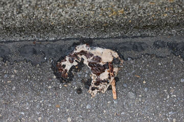 Heruntergefallenes Stiel Eis 