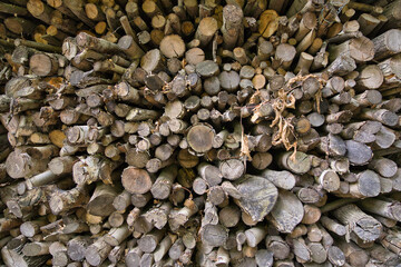 Brennholz eingelagert - Perspektive Weitwinkel von vorne - Holzschichten von vorne