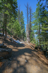 hiking the four mile trail in yosemite national park in california, usa